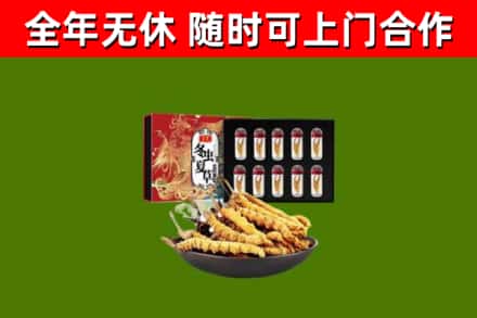 民丰回收冬虫夏草价格