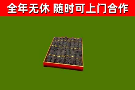 民丰回收海参